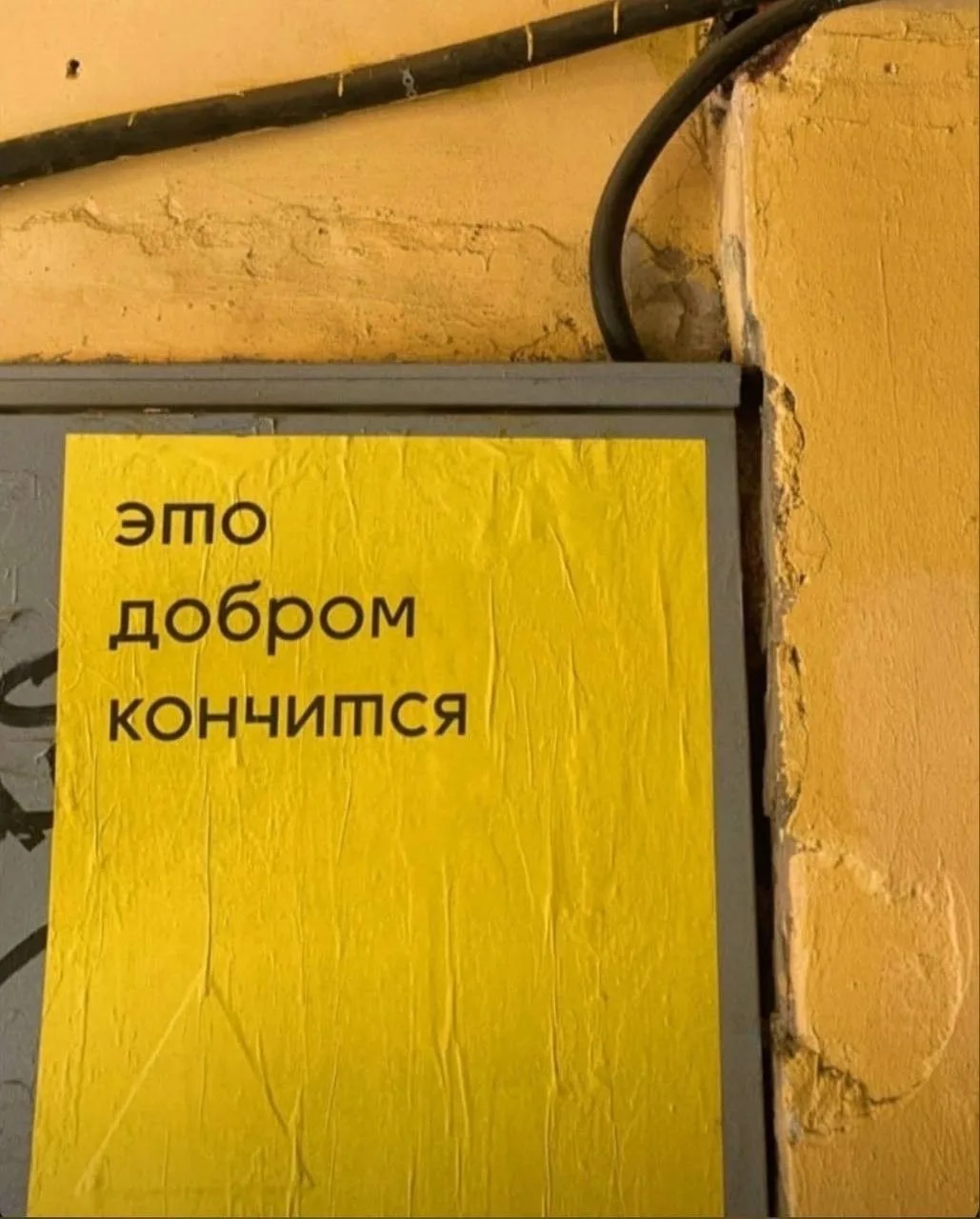 Получить консультацию 🍉