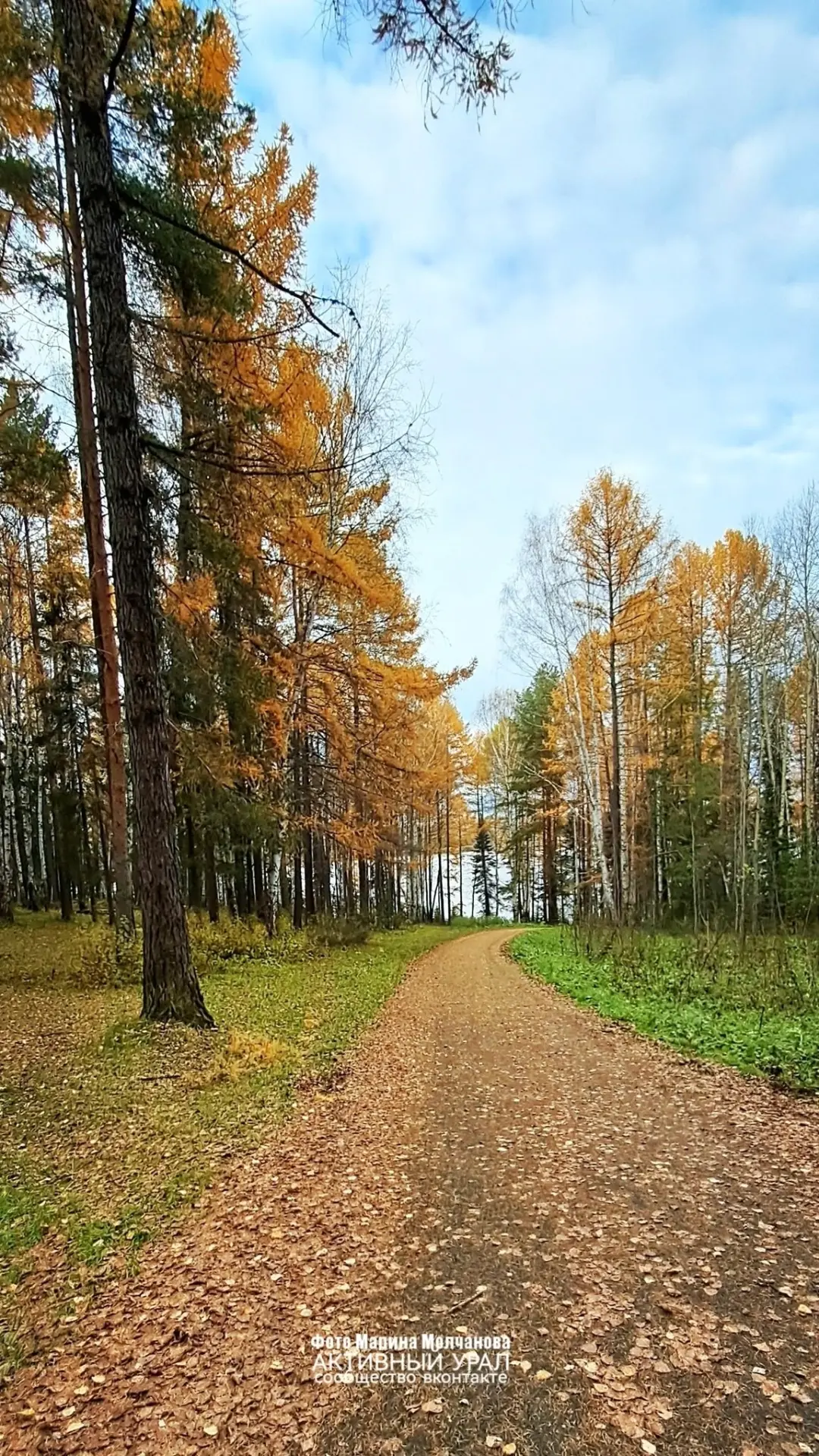 🍁😍Осенние фото окрестностей Лесного и Нижней Туры, река Тура (Нижнетуринский пруд).
