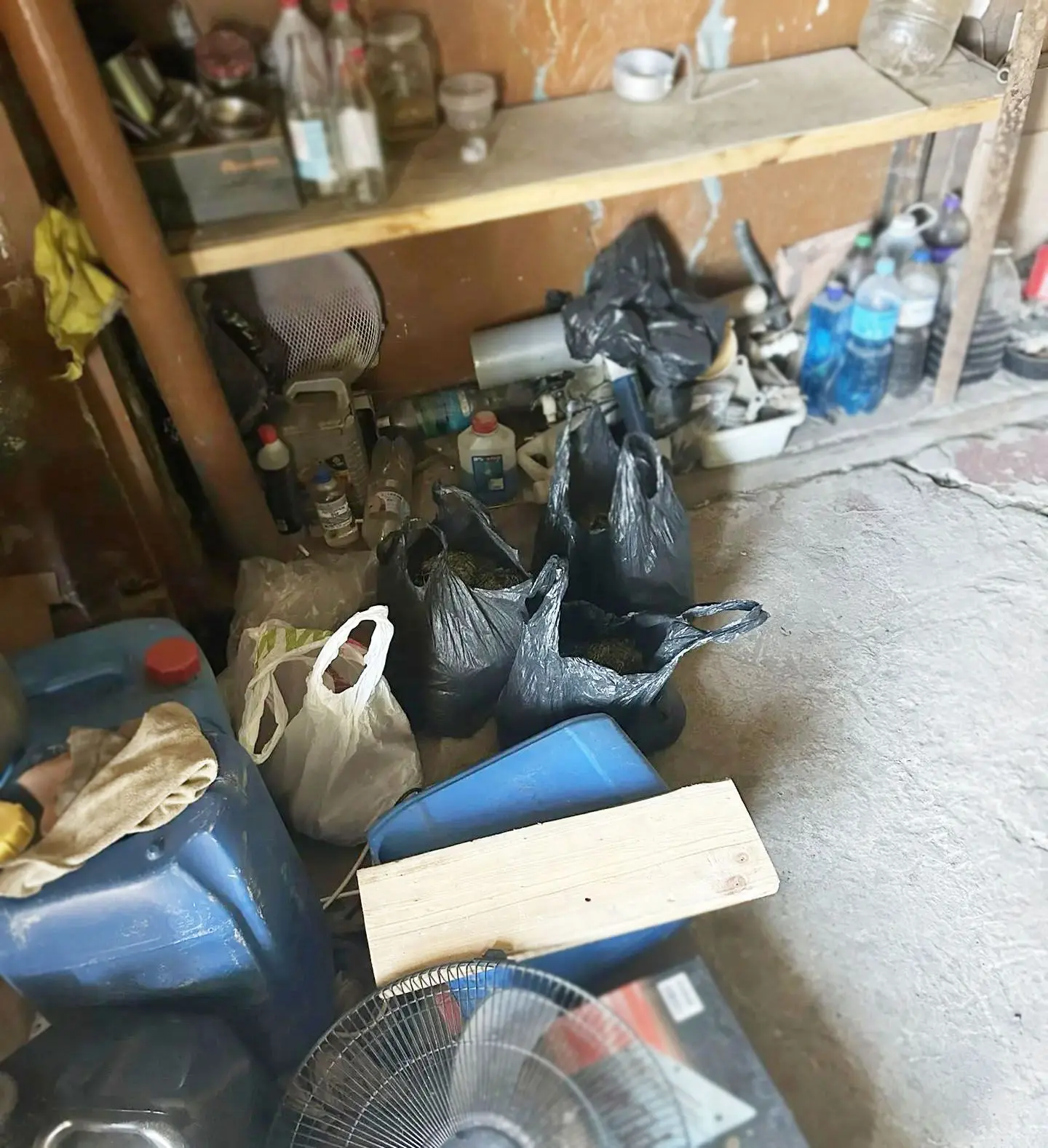 В Амурске полицейские изъяли более 2,5 килограмма растительных наркотиков из гаражного ...