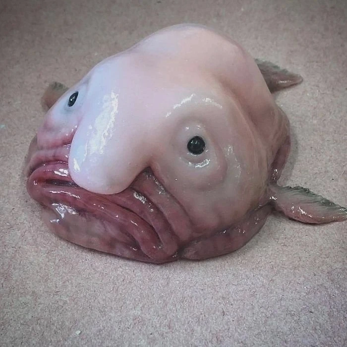 Нерест в нижнем Дону оценили как слабый