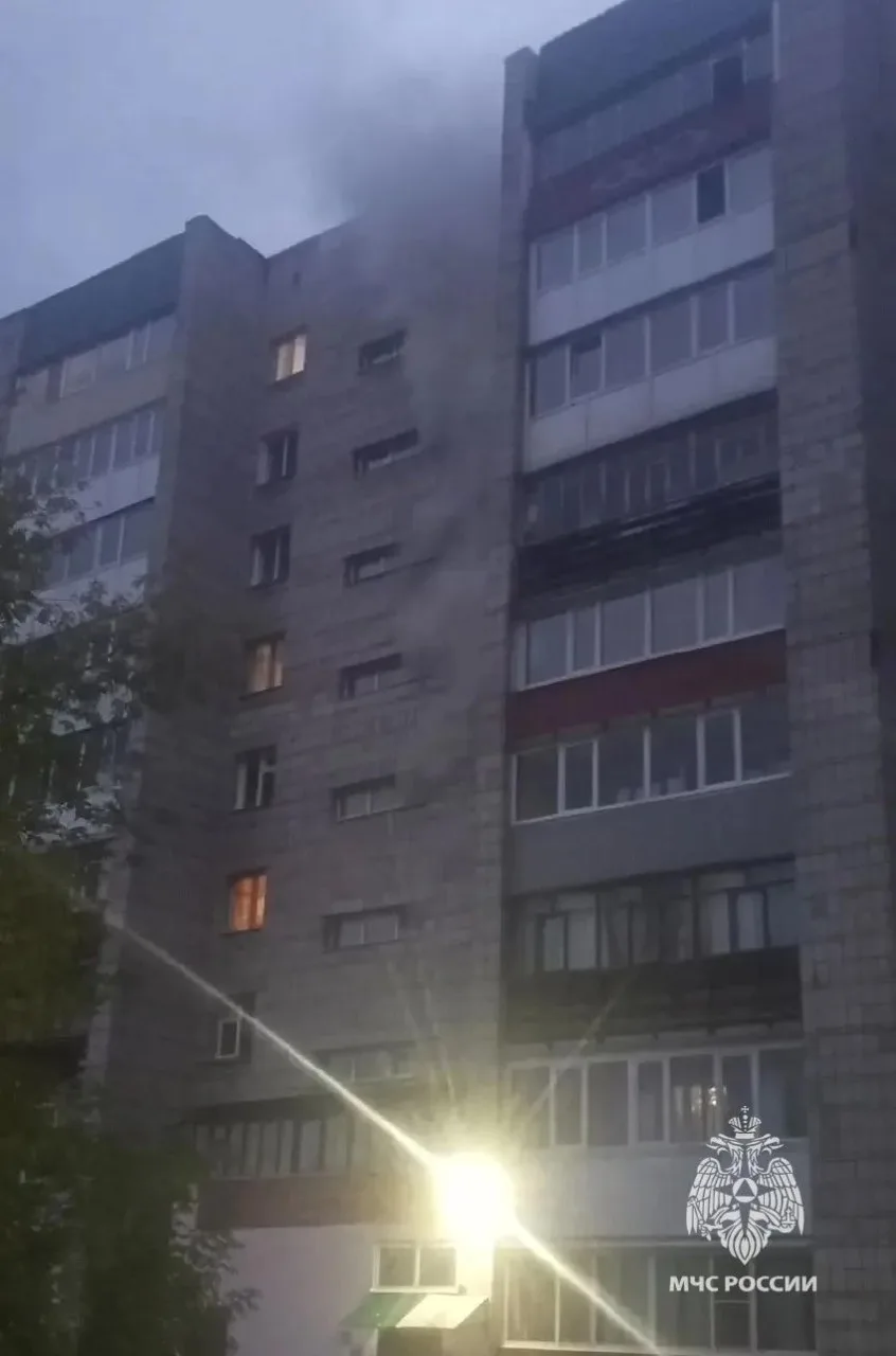 Пожар произошел в многоэтажном доме на улице Мокрушина. В одной из квартир загорелись в...