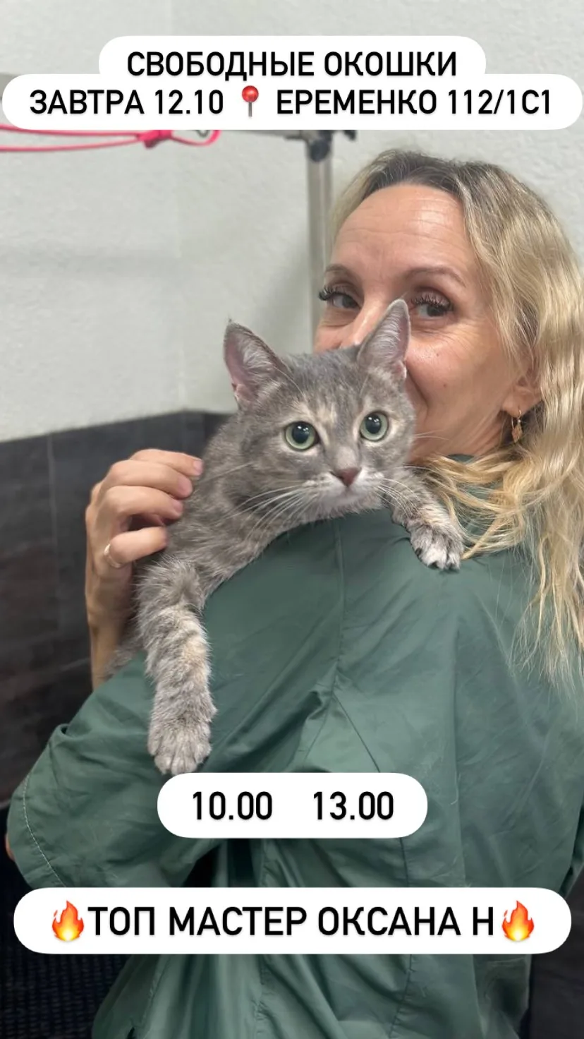 Свободные окошки на завтра на Еременко 112/1с1🐾