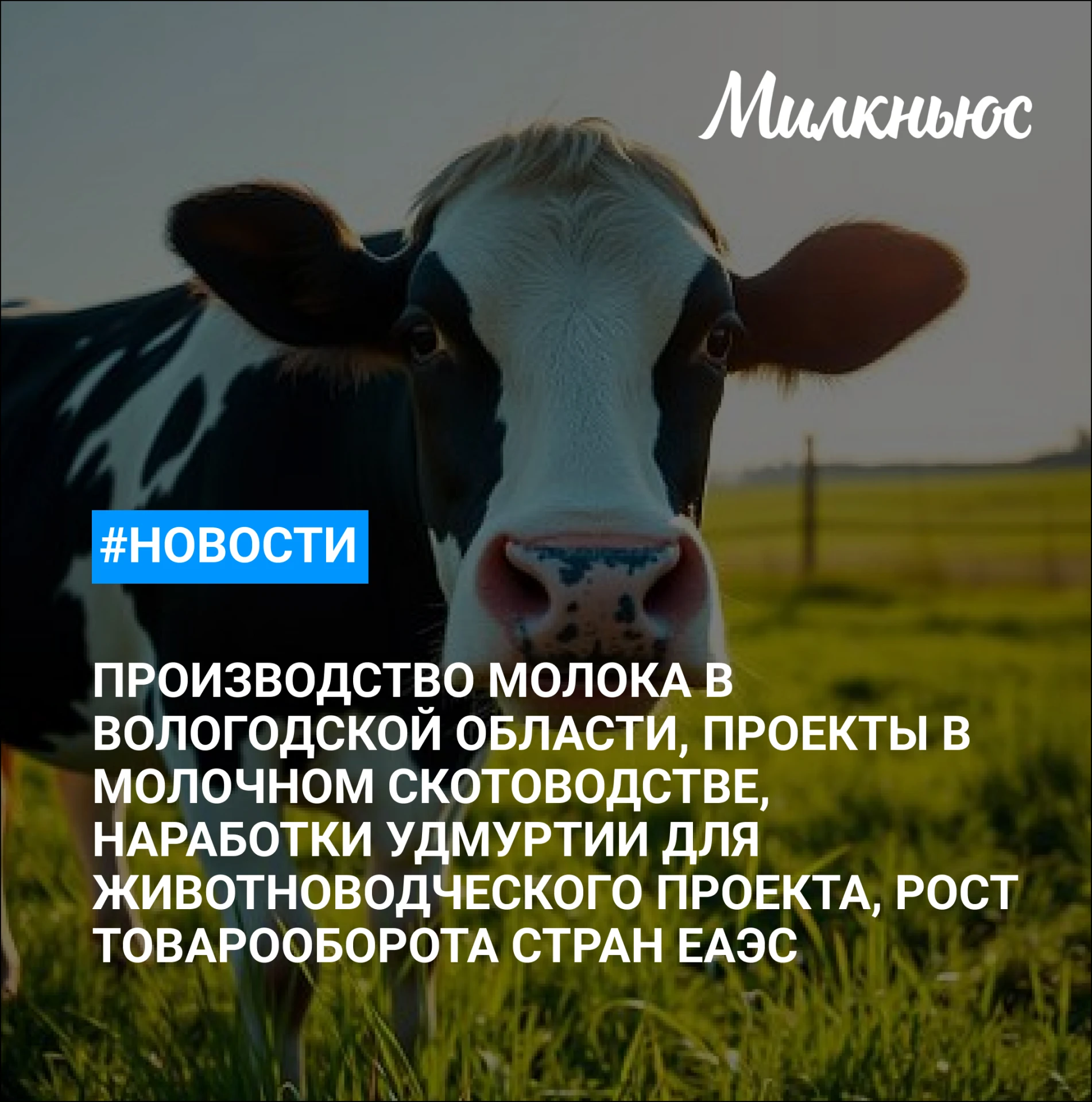 🐮 В 2026 году в Вологодской области планируют произвести свыше 700 тыс. т молока