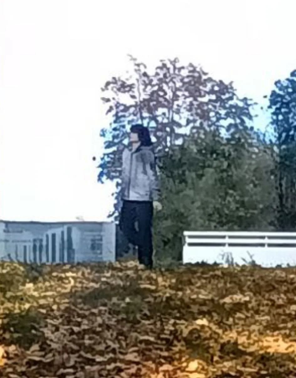 Предложка: