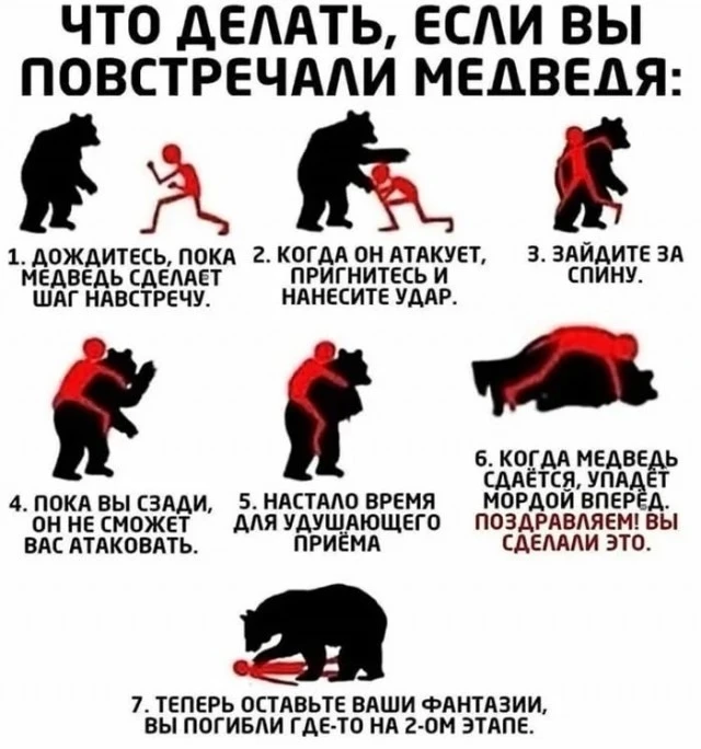 Громко материться, чтобы отпугнуть медведя, посоветовали россиянам