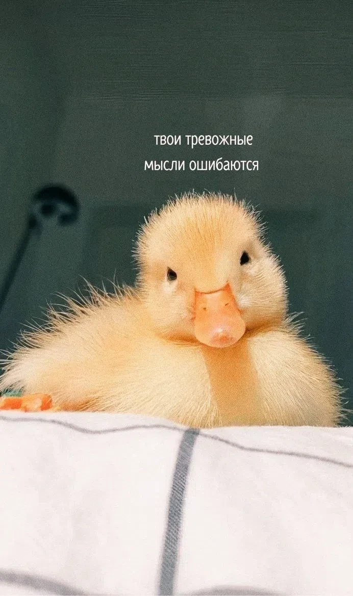 Психолог 🌐 Светлана Ханса