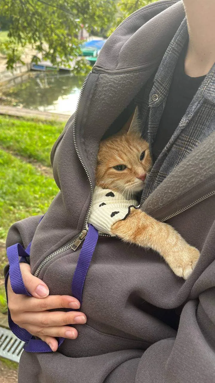 Моя мама всегда знает, что мне нужно 😻