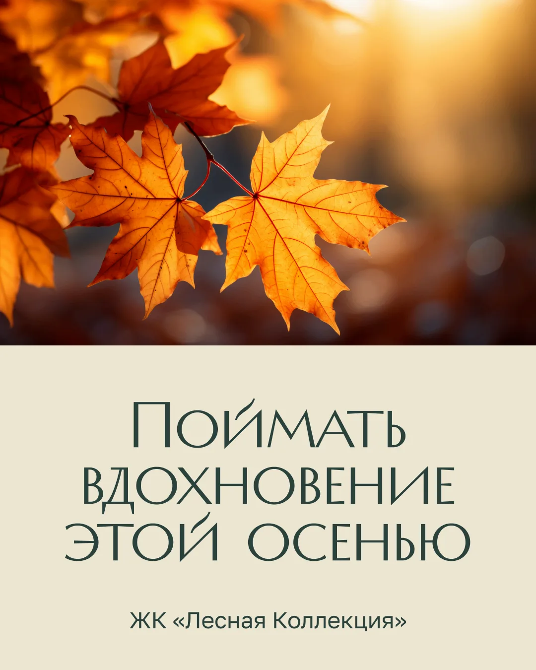 Осень меняет привычный пейзаж каждый день: листья становятся золотыми, воздух — прохлад...