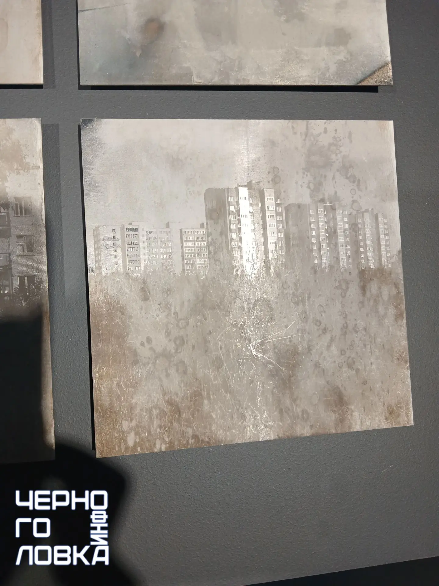 Фотовыставка «Гипотеза становления» Сергея Потеряева (куратор Александр Дашевский) прох...
