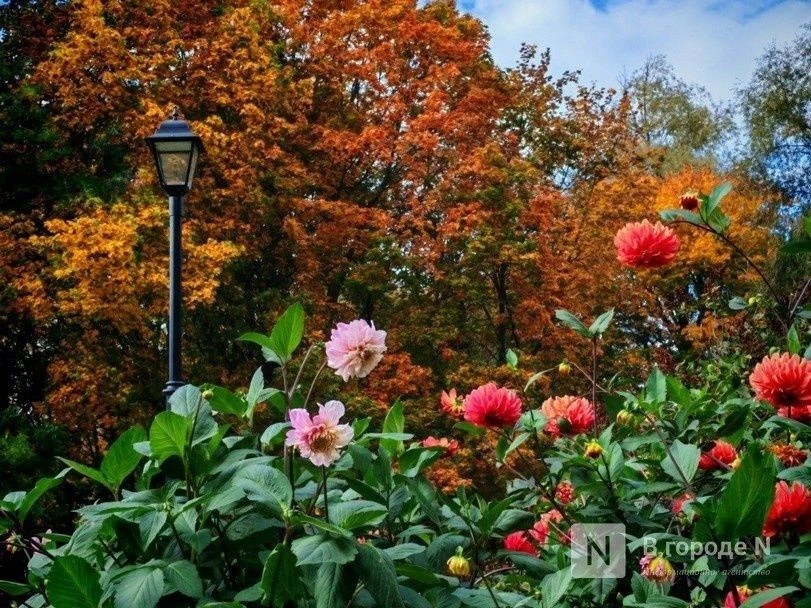 Новая неделя октября — новый прогноз погоды 🍁