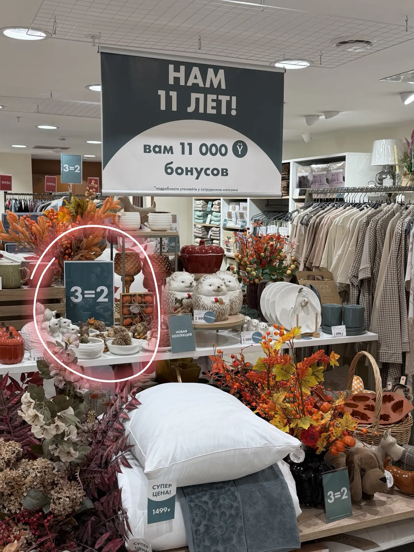 Всем баллы начисляют