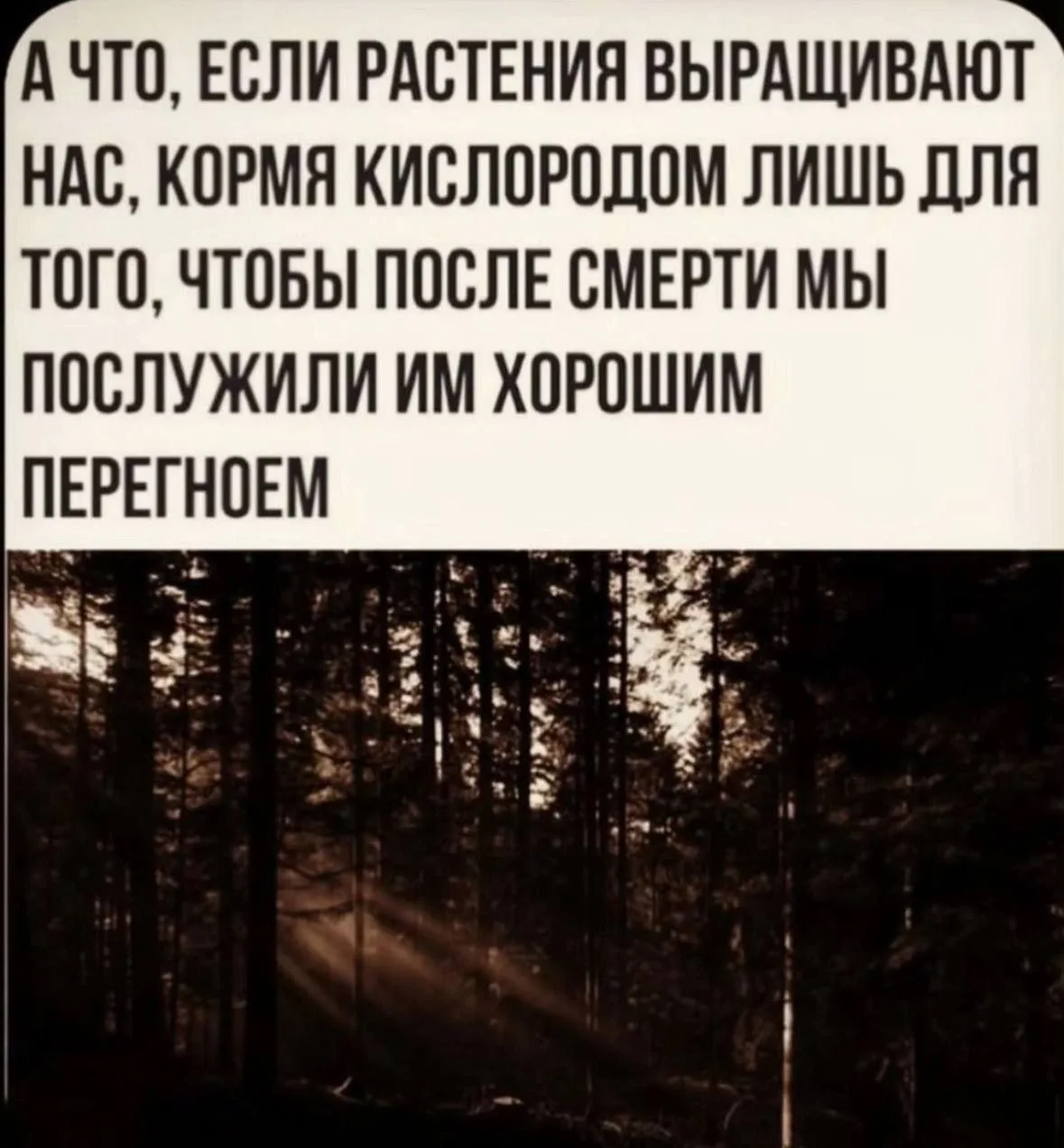 Мемы каждый день • Подписаться