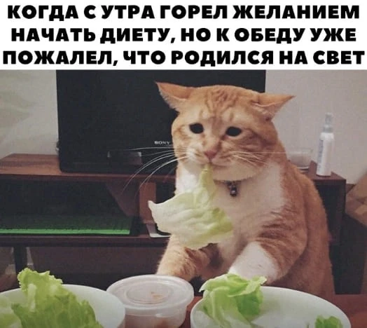 😂