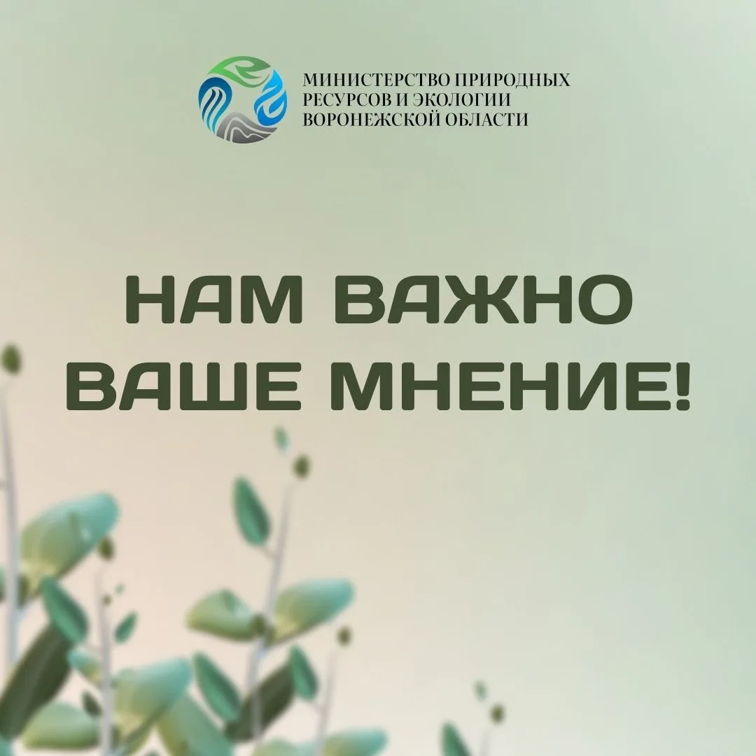 Друзья, мы хотим сделать наше взаимодействие с вами максимально комфортным. Чтобы понят...