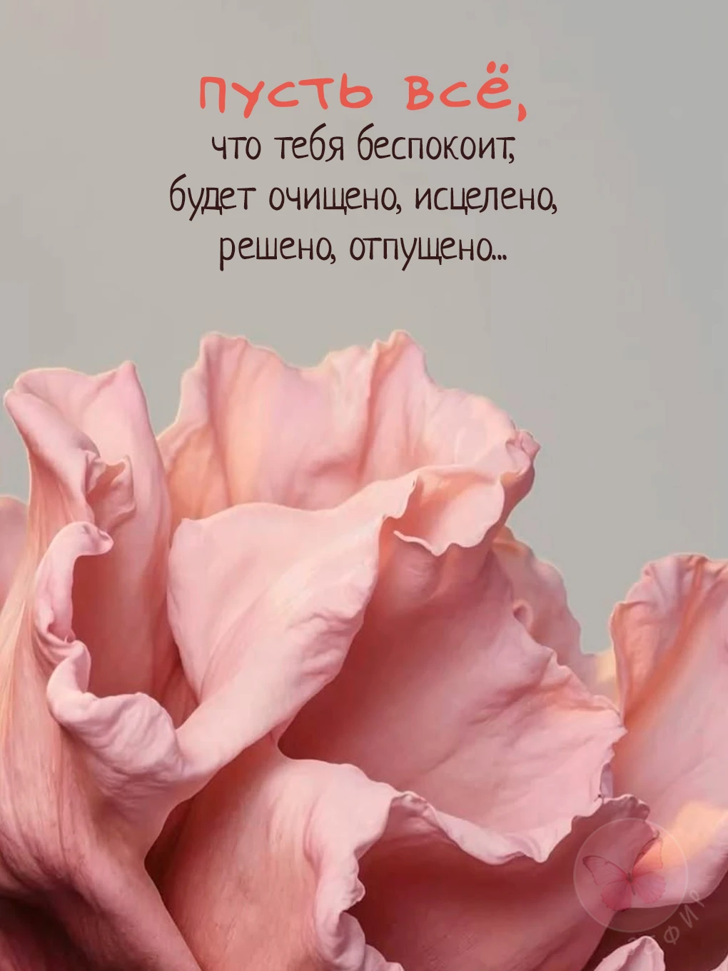 З Е Ф И Р