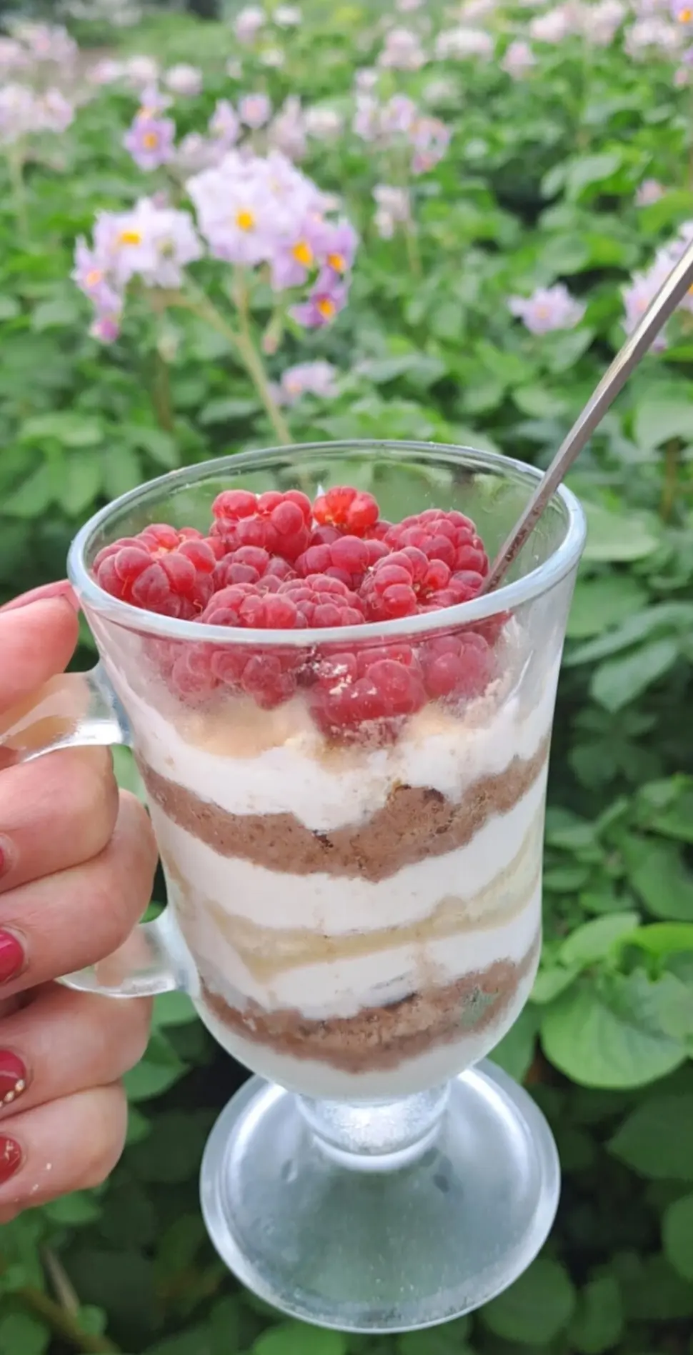🍨 Трайфл с ряженкой и Коктейлем