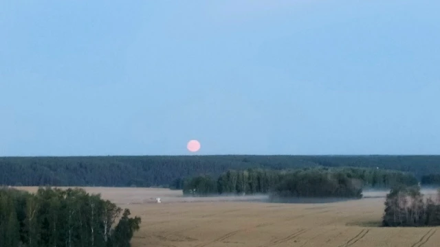 Присылайте Ваши фото в "Предложить пост"
