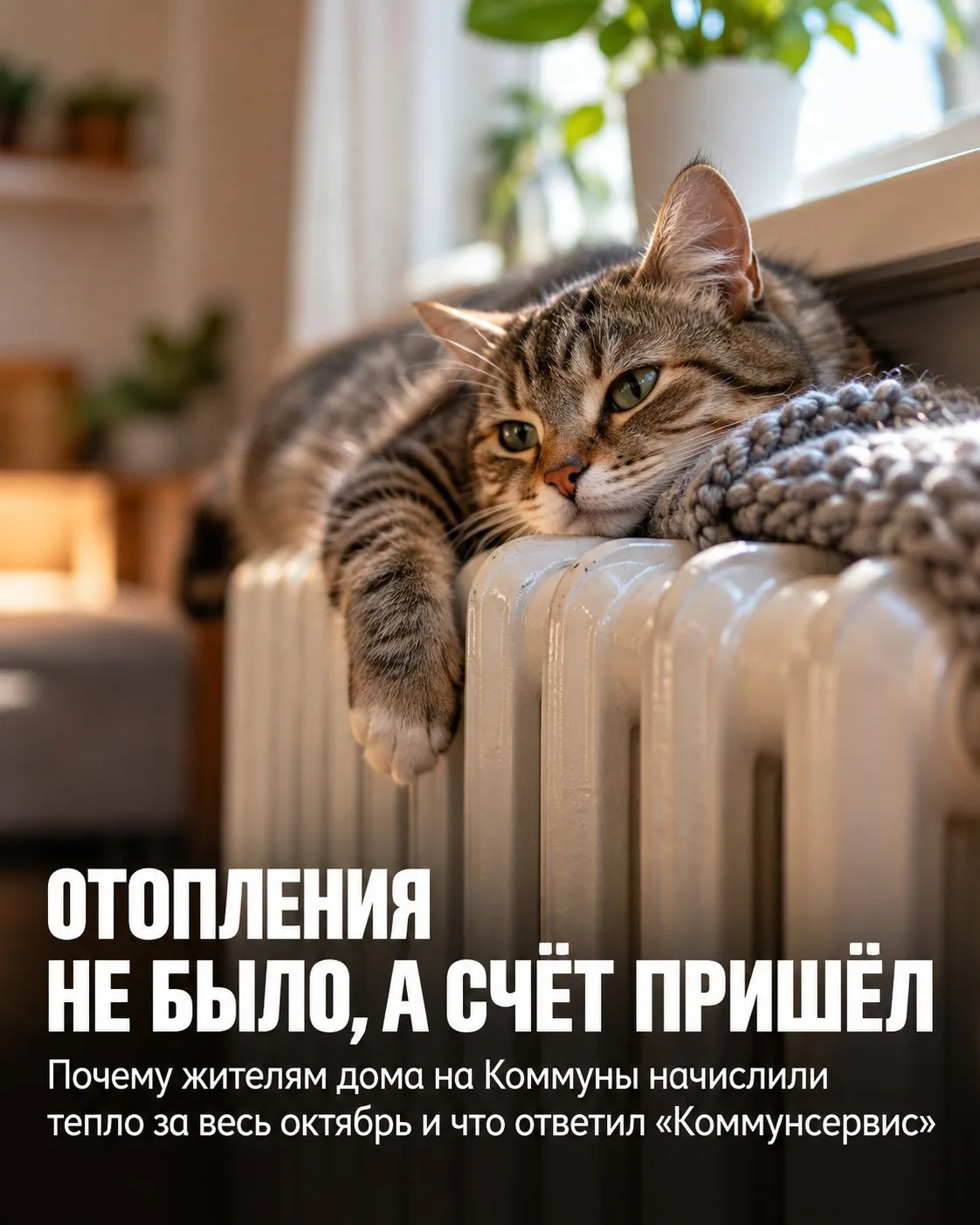 🔥 «Отопления не было, а счёт пришёл»: почему начислили за весь октябрь