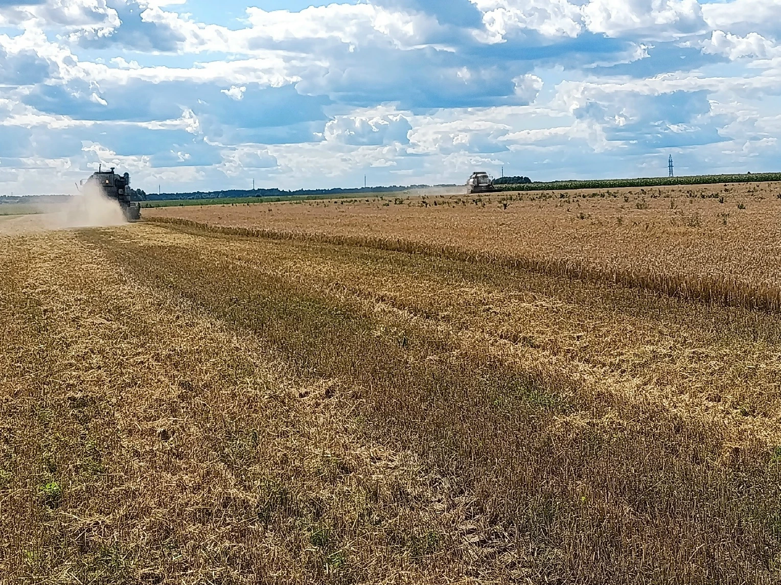 Уважаемый труженики сельскохозяйственного производства!