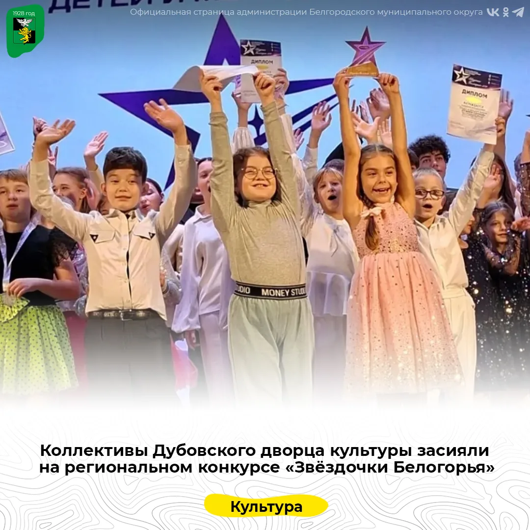 Коллективы Дубовского дворца культуры засияли на региональном конкурсе «Звёздочки Белог...