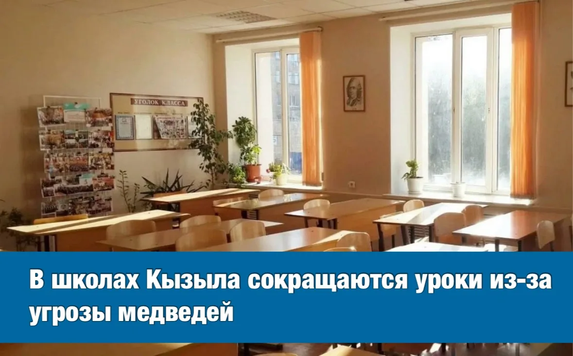 Школы Кызыла меняют расписание из-за угрозы медведей 🐻