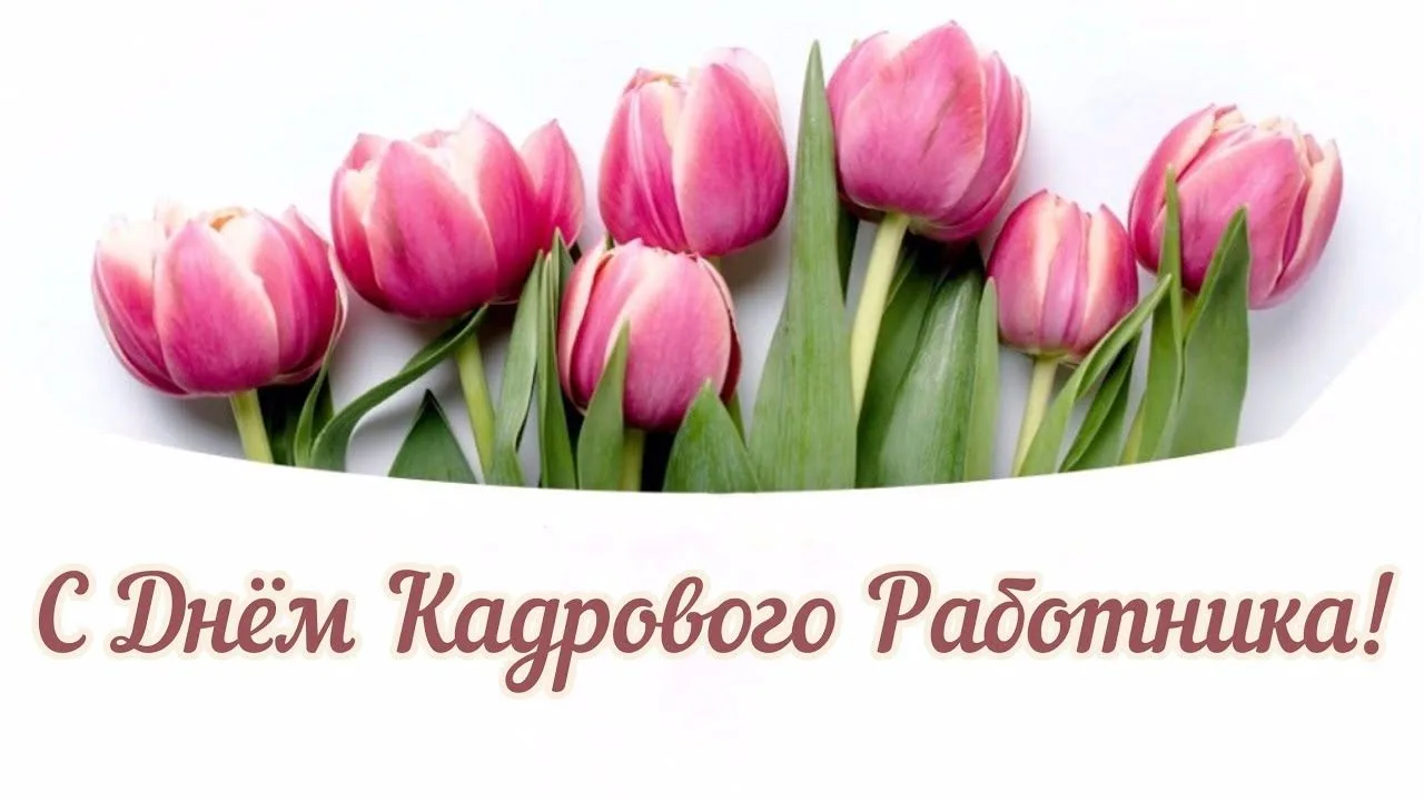 📍Уважаемые работники кадровых служб предприятий, организаций, учреждений Алексеевского...