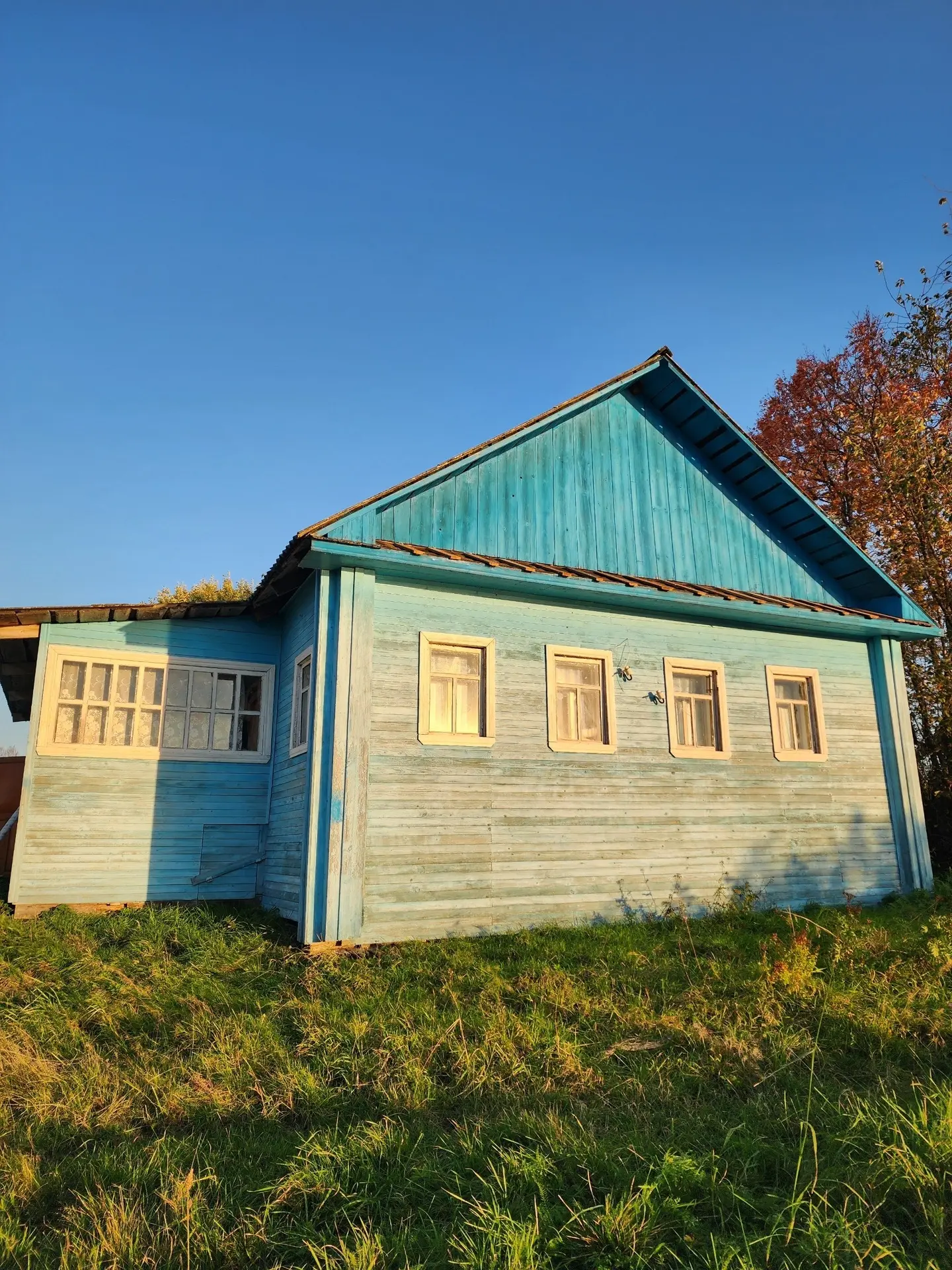 Золотая осень 🍂