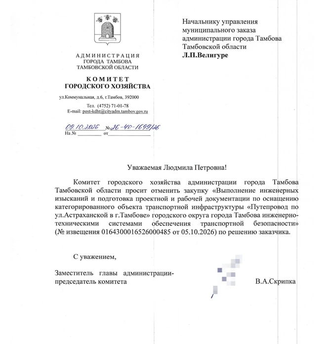 В Тамбове отменили торги на проектирование систем безопасности шести мостов