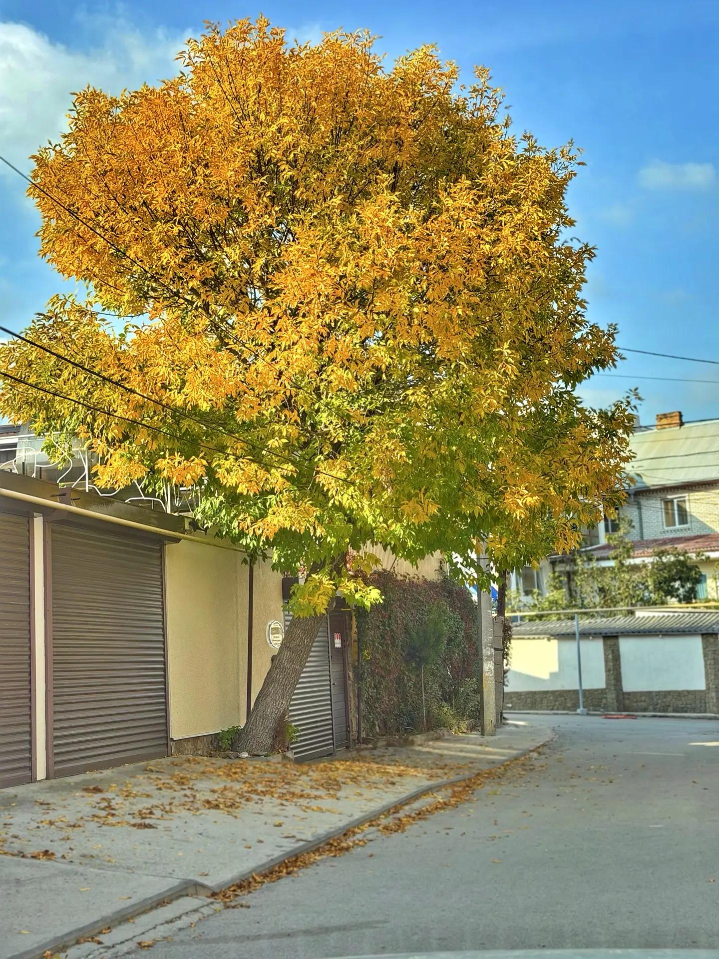 Ну вот и как не любить осень, когда вокруг такая красота? 🍁🍂🧡