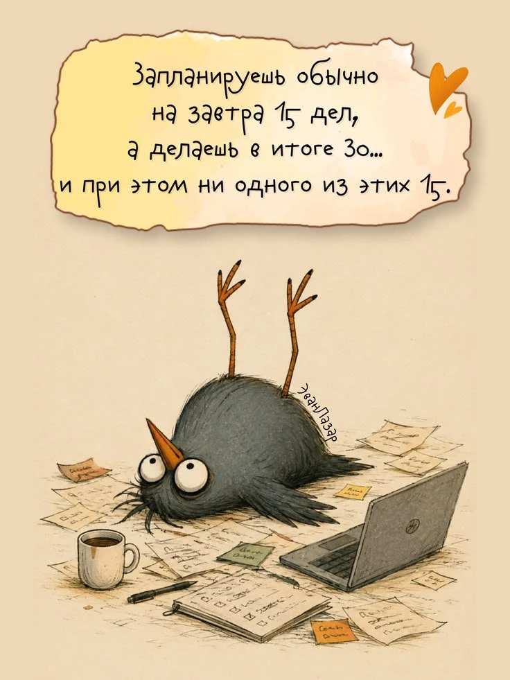 Коротко о моей неделе и следующая обещает быть такой же🤪