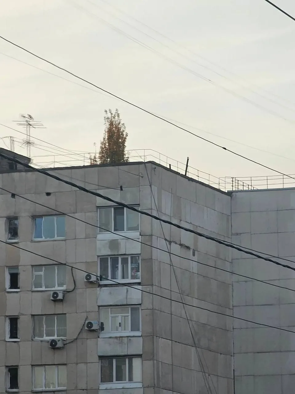 Ибрагимова 5 на крыше растет дерево , так должно быть?))
