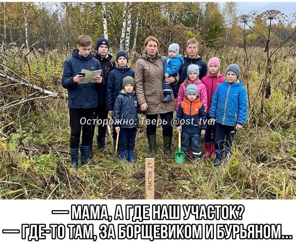 🏡 Матерям-героиням в Тверской области бесплатно дадут землю
