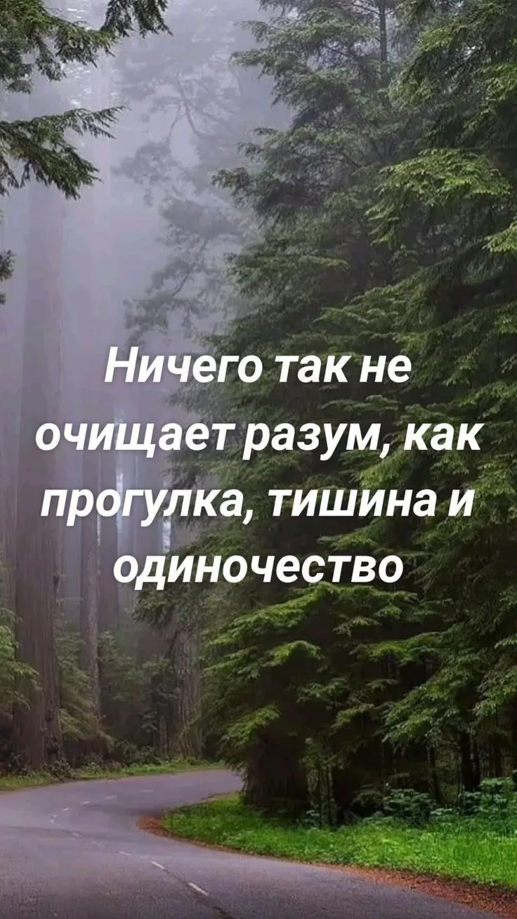 Место силы🌱Подписаться