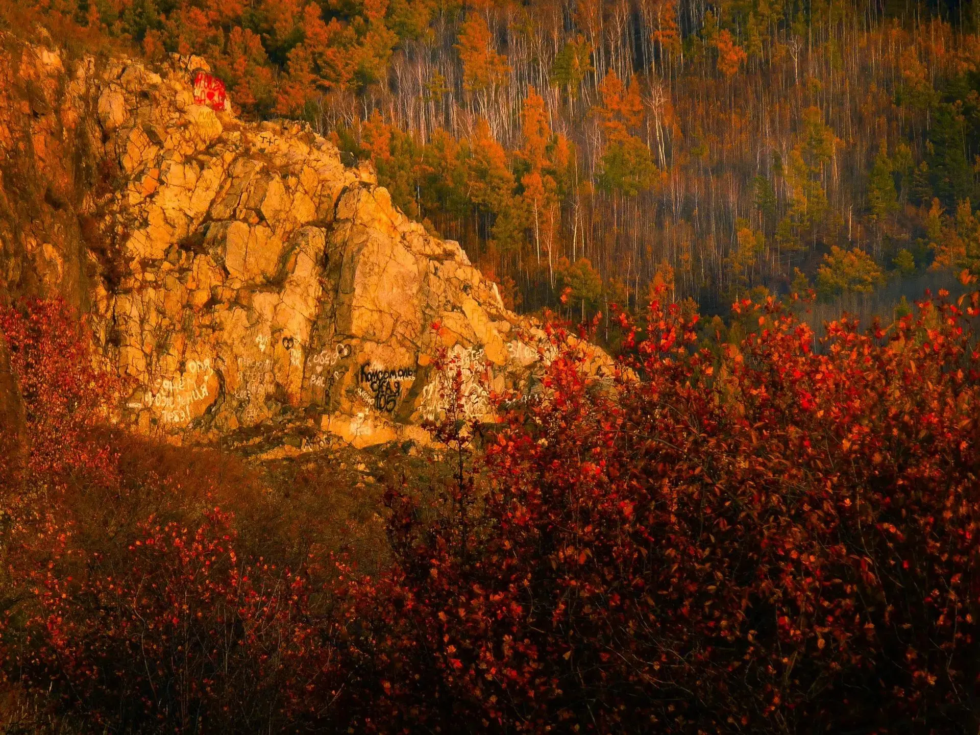 🍁 Доброе утро, друзья!