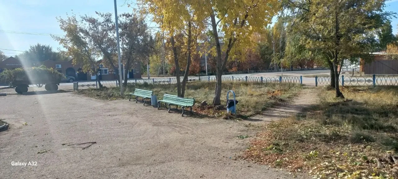 Вчера и сегодня наши студенты помогали в благоустройстве территории, прилегающей к Обел...