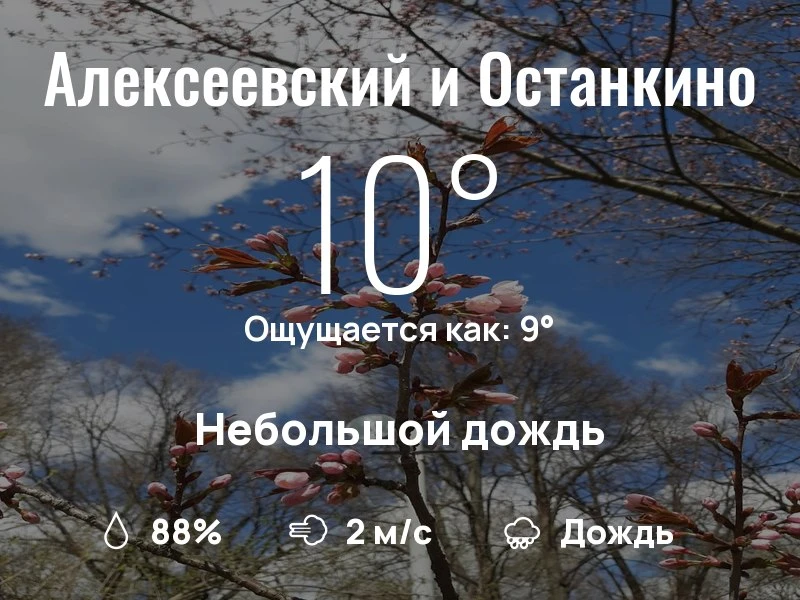 Что с погодой в районе ВДНХ?