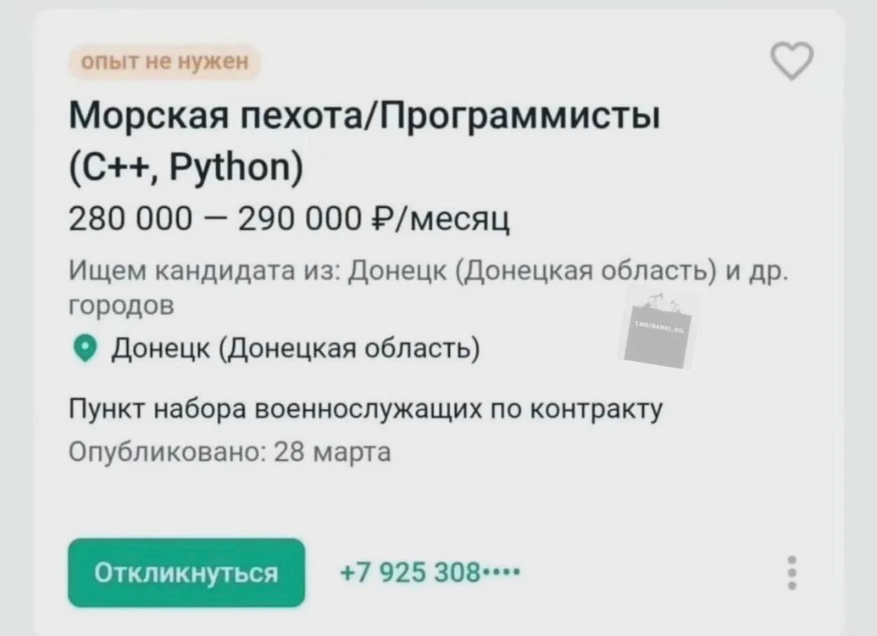 В Донецке ищут IT-специалистов с зарплатой 290 тысяч рублей