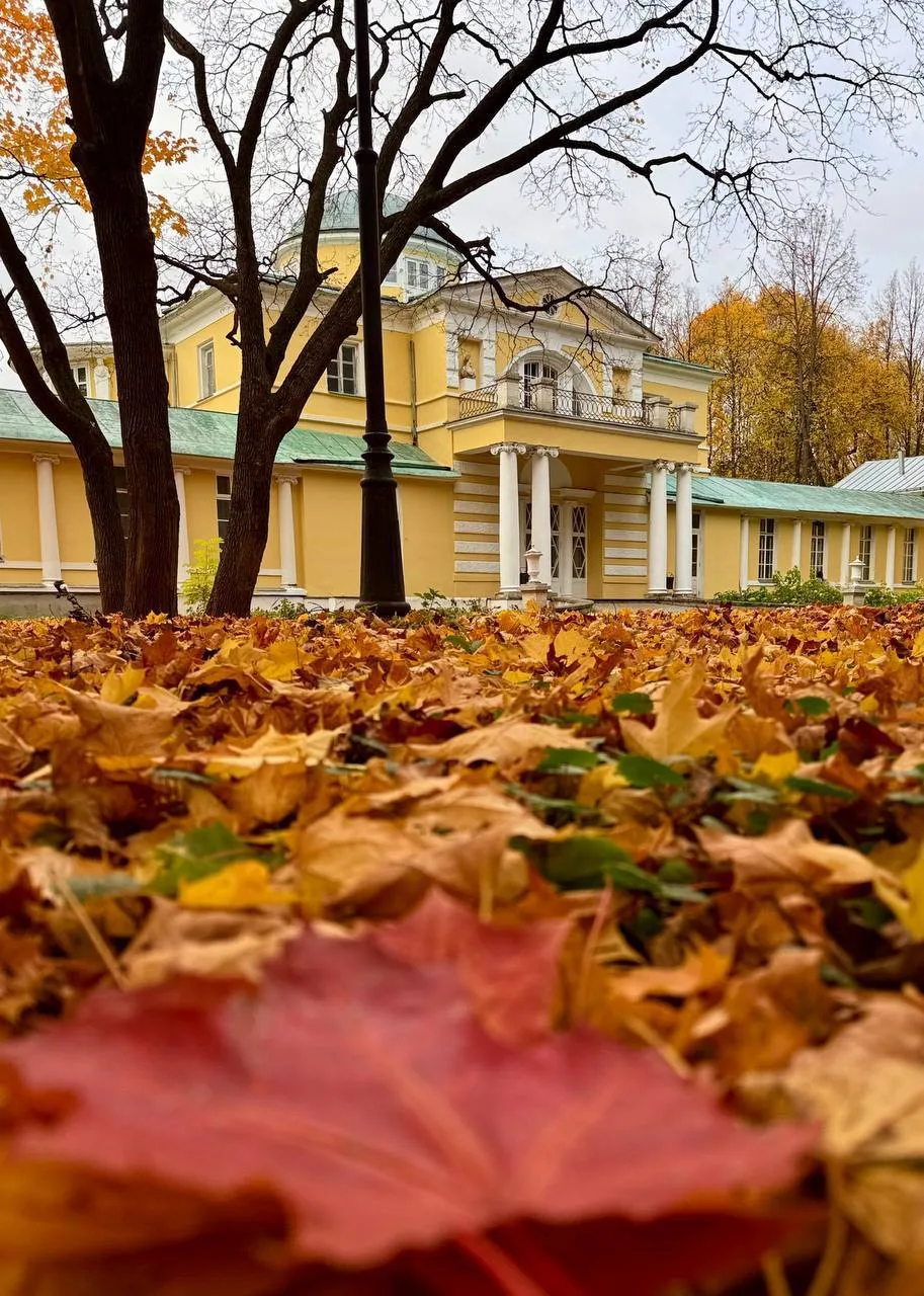 Усадьба Строгановых «Братцево»