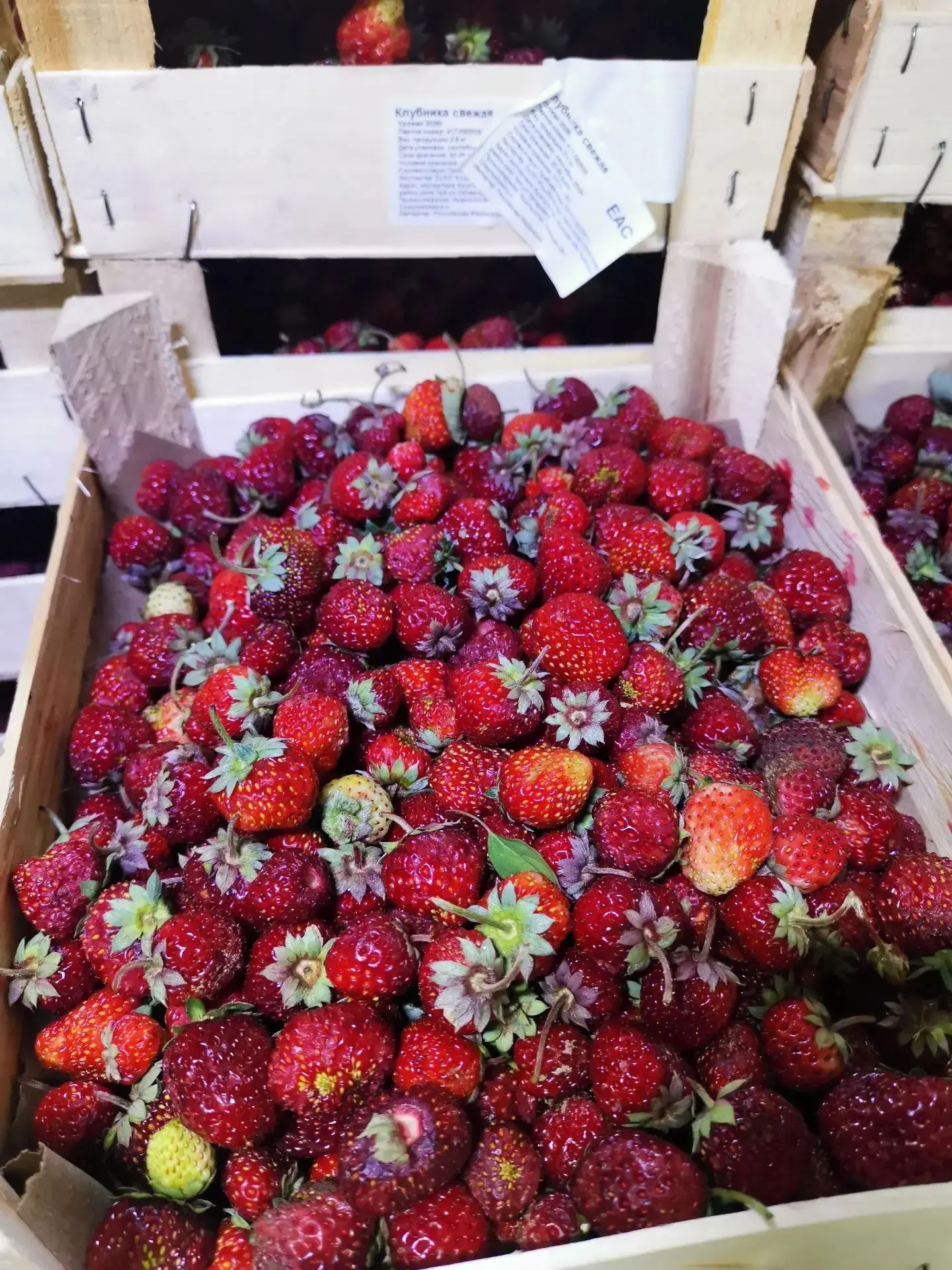 🍓 🍒 🍓 🍒 🍓 🍒