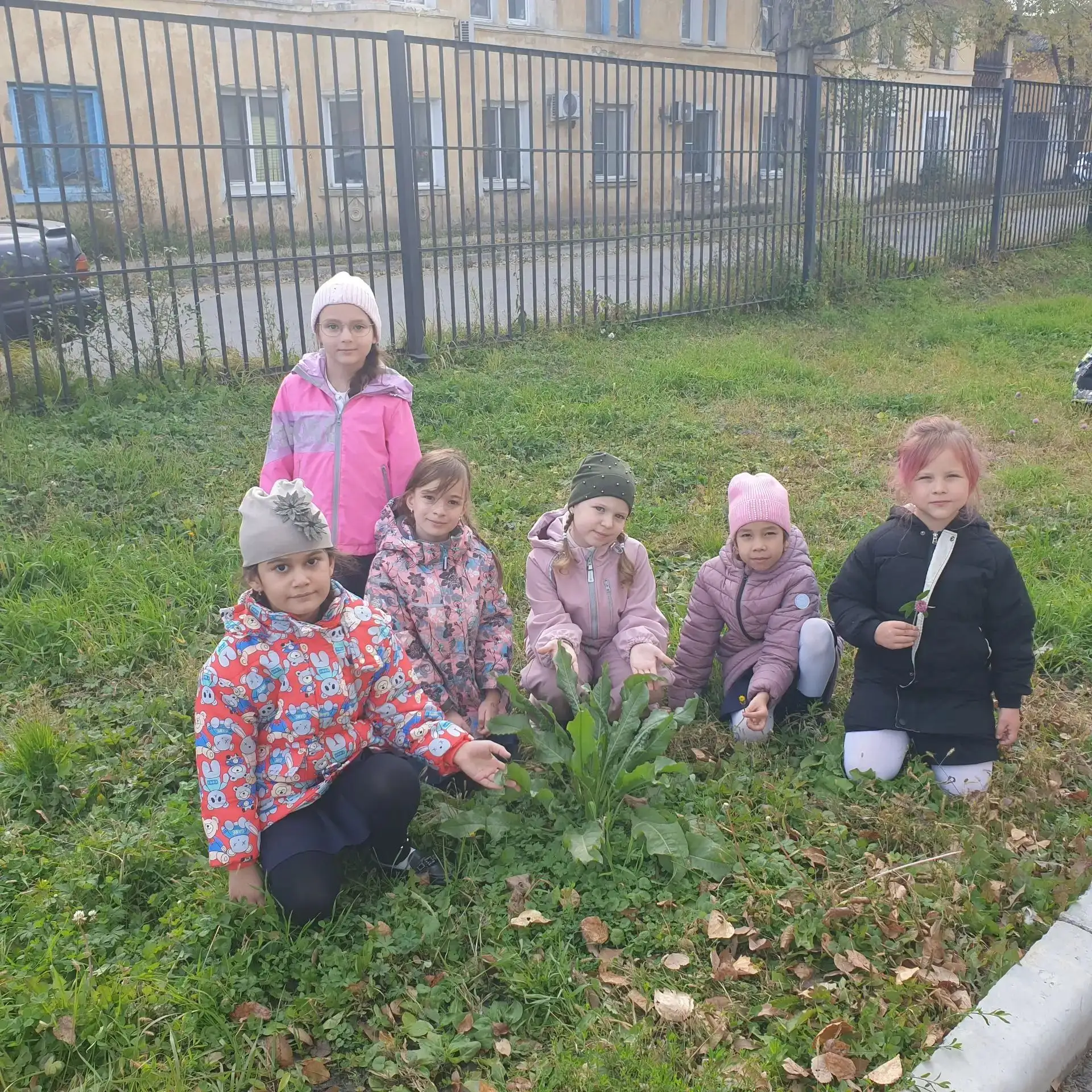 Урок-экскурсия в 1Б по окружающему миру 🍃📚