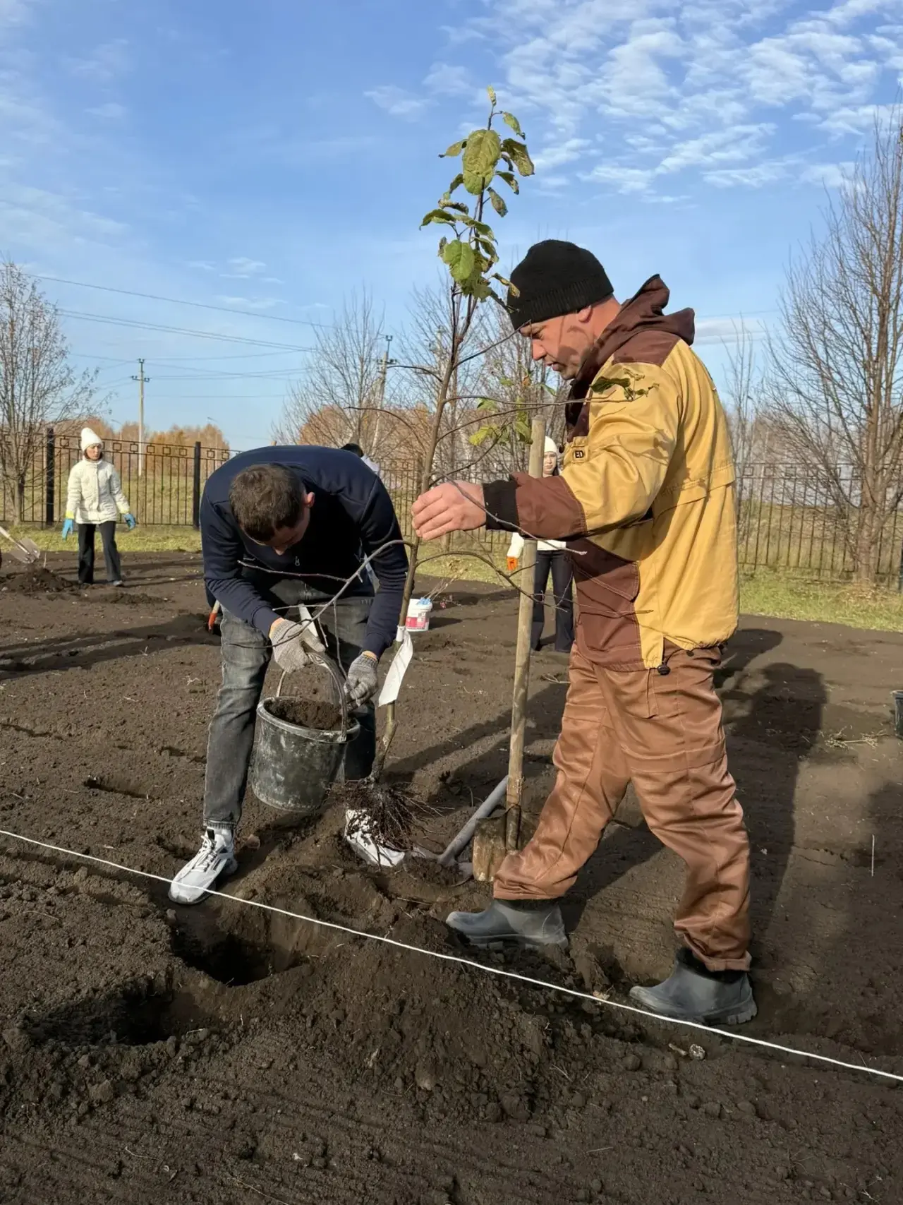 🌳 Аллея «Связь поколений»: традиция, которая объединяет!