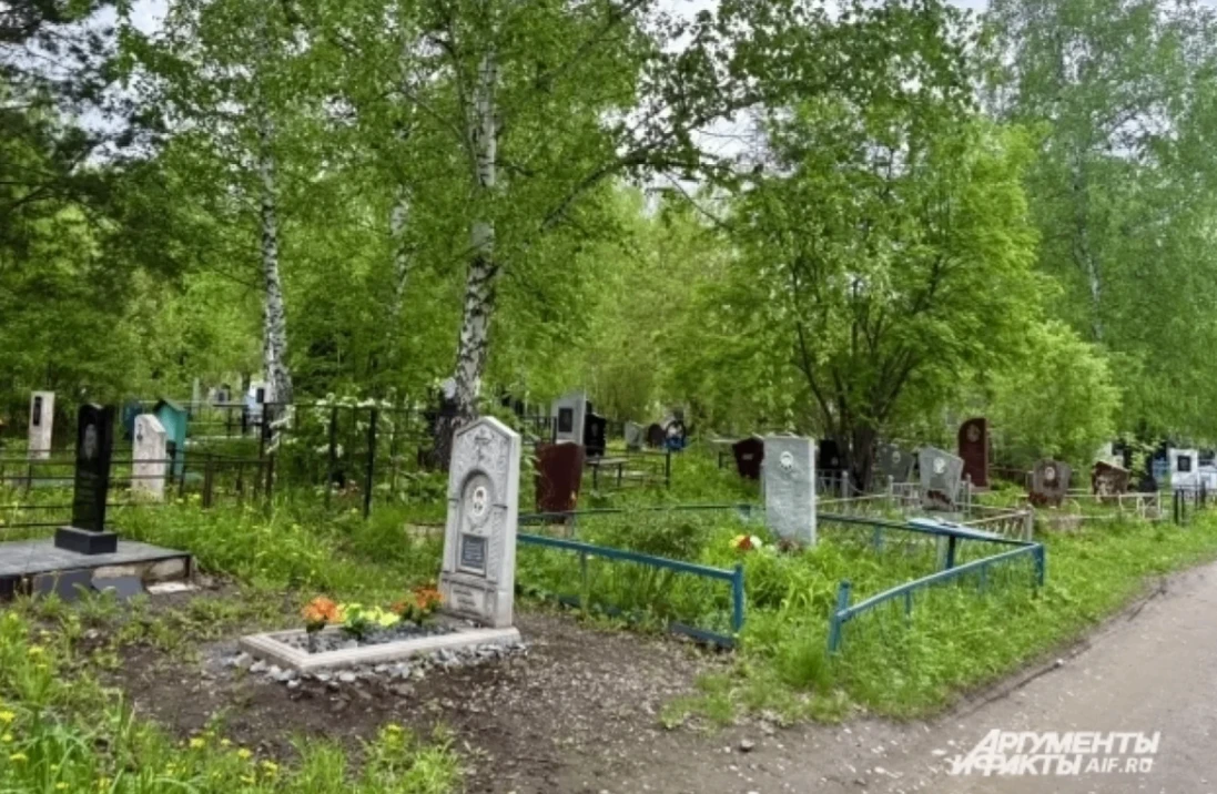 Земля раскопана, крест лежит. Мог ли медведь разорить могилу на кладбище