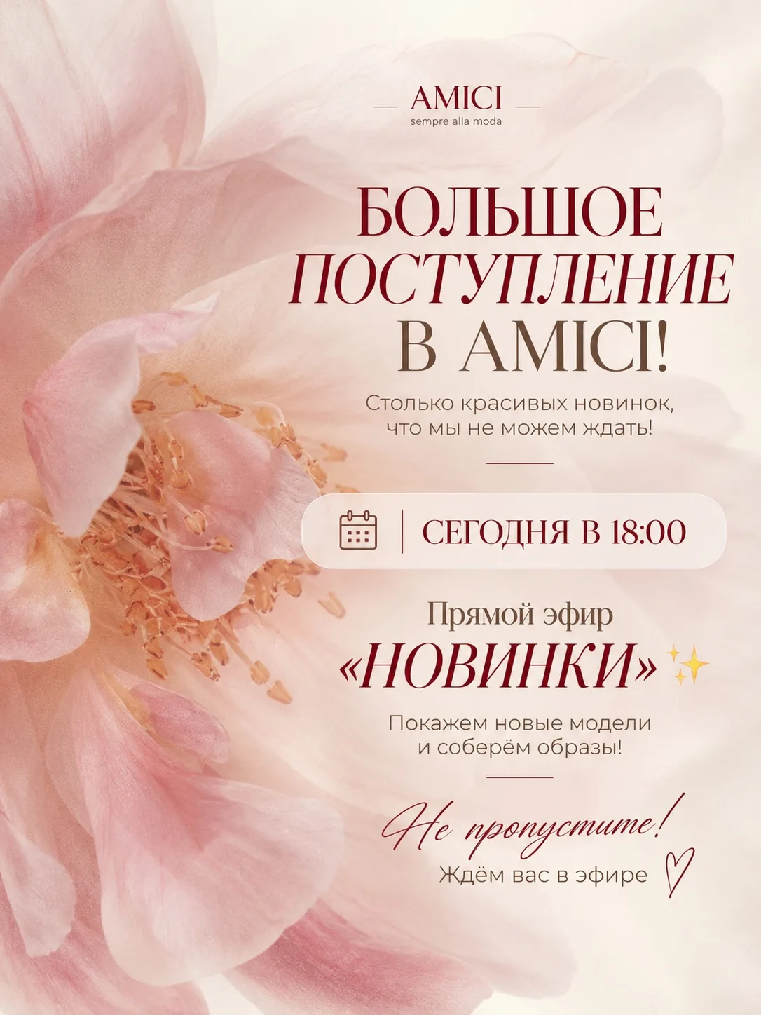 БОЛЬШОЕ ПОСТУПЛЕНИЕ В AMICI! 🤎