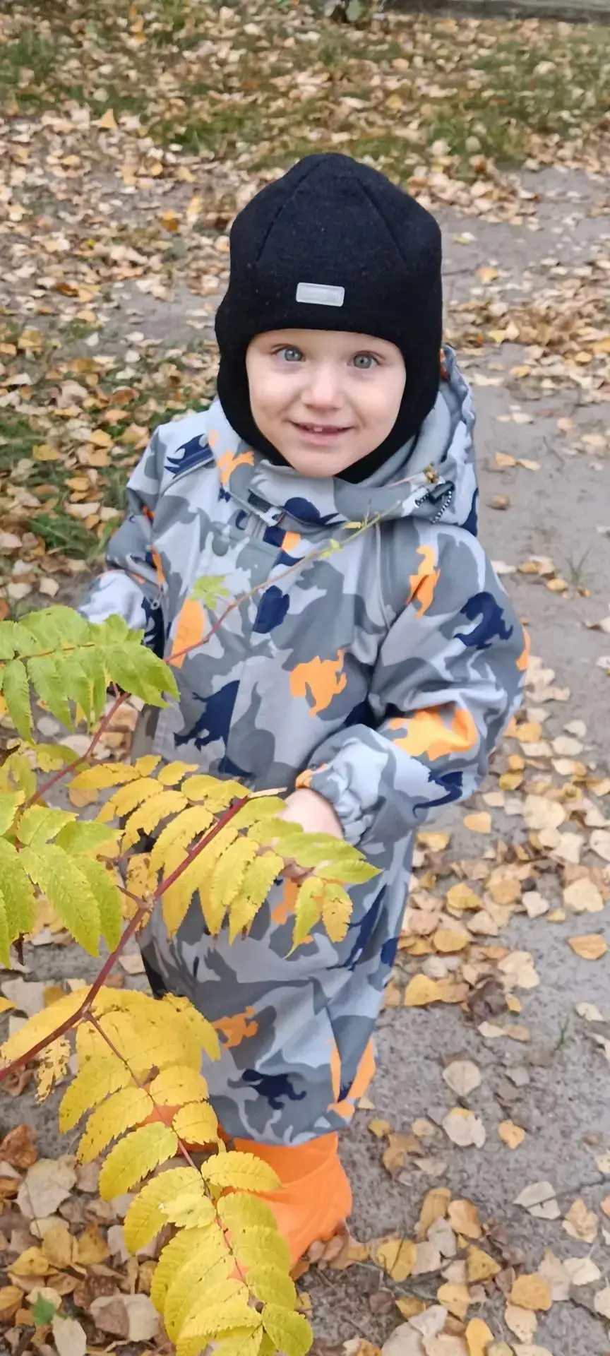 ТАЙНЫЕ ТРОПИНКИ ОСЕНИ🍁