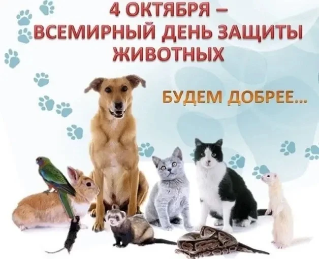 🐾 4 октября — Всемирный день защиты животных.