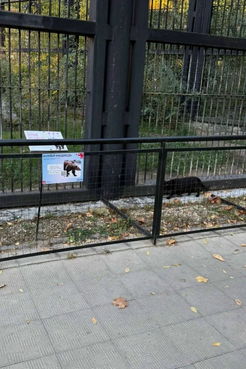 Когда пытаешься быть, кем не являешься.