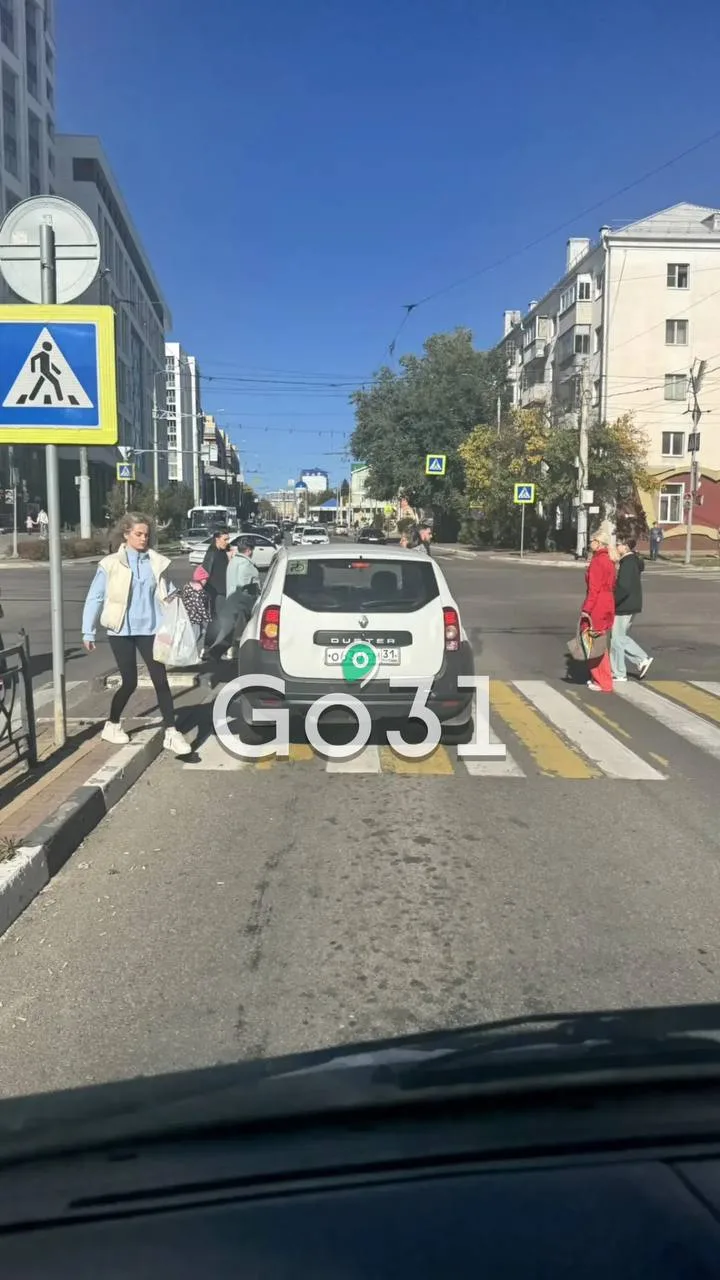 🚗 В Белгороде водитель перегородил пешеходный переход