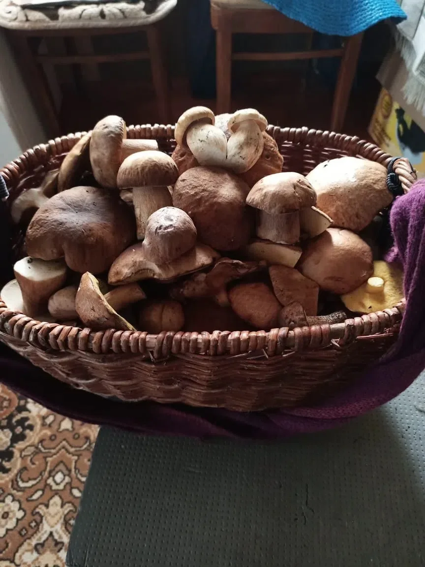 Шиловский район. Чуть, но есть.