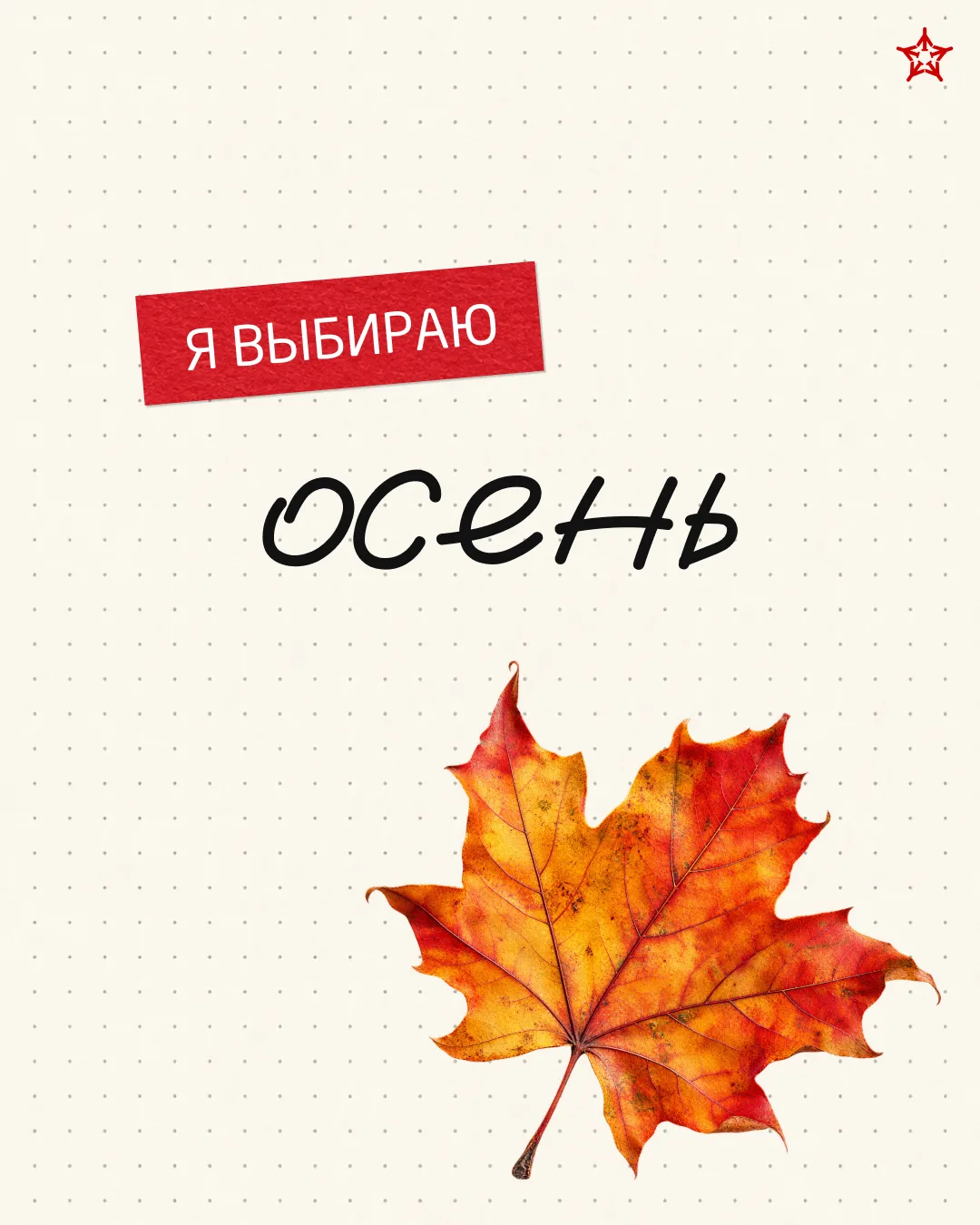✈️ Путешествия не знают времён года.