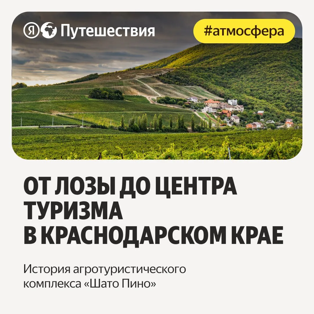 🍷 Российский винный туризм переживает подъём — всё больше людей отправляются на виногр...
